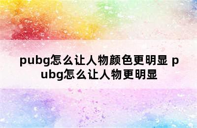 pubg怎么让人物颜色更明显 pubg怎么让人物更明显